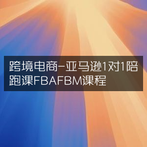 跨境电商精品课，亚马逊1对1陪跑，全面掌握FBA/FBM运营