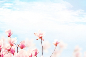 大气花瓣渐变蓝色banner背景
