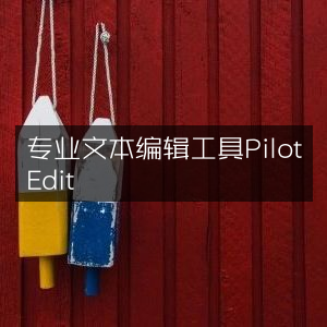 专业文本编辑器PilotEdit