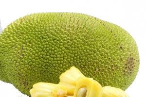 泰国水果菠萝蜜