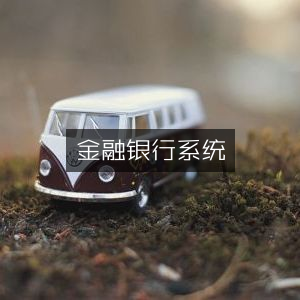 金融银行业综合管理系统