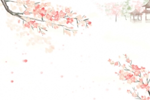 春天樱花树枝花瓣