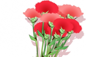 花朵康乃馨母亲节PNG矢量素材