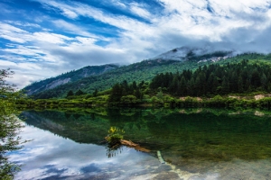 唯美四川九寨沟湖畔旅游海报背景图