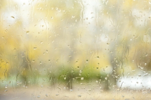 雨后玻璃美景模糊