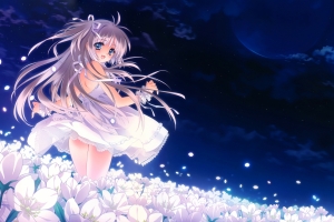 夜晚,天空,月亮,星星,花,女孩,连衣裙,唯美动漫星空4k壁纸