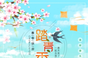 踏青季一起去踏青