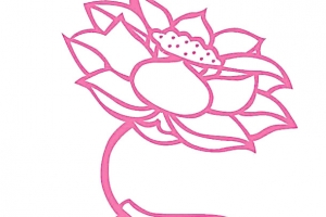 佛手执莲花