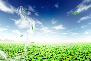 绿色烟草海报背景