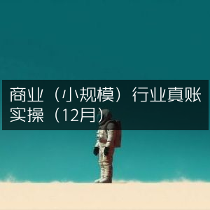 12月商业小规模行业真账实战操作指南