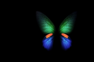 三星Samsung Galaxy Fold 蝴蝶 艺术 4k壁纸