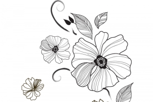 精致蔓藤花朵叶子线描手绘卡通元素高清PNG透明设计素材免费下载