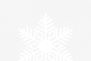 雪花