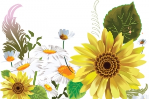 花 png 透 明 素材 免扣元素