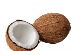 椰子壳白色椰肉高清PNG透明动植物设计素材免费下载