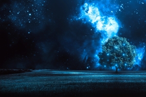 树 星夜 3440x1440风景壁纸
