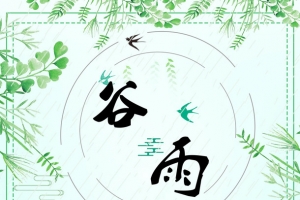 谷雨二十四节气