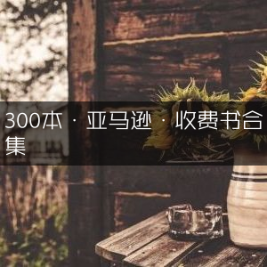 亚马逊300本收费书籍精选合集
