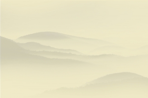 浅色背景