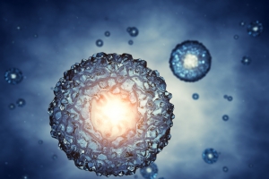 人体细胞细菌等生物高清图片