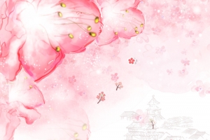 樱花底纹