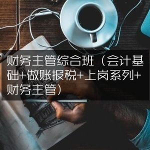 财务主管全能提升班，会计基础+账务处理+报税实战+快速上岗