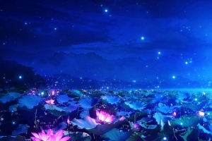 夏日荷花夜景banner