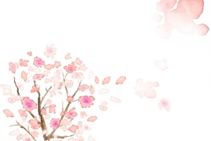 手绘开花的树