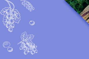 蓝莓果汁淘宝大促清新紫色banner