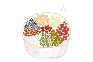 腊八粥材料矢量