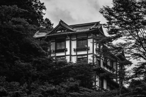 建筑 房子 窗户 树 黑白 4k壁纸 3840x2160