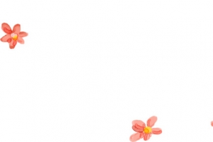 手绘粉色漂浮水彩花朵