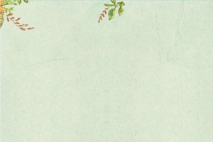 清新花边换季活动广告
