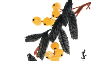 手绘国画枇杷枝