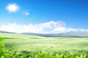 春天清新绿色海报背景