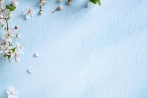 木板上的桃花图片