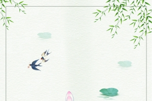 春季清明节荷塘背景图