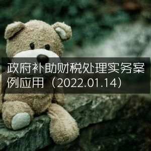 政府补助财税处理实战案例解析（2022.01.14）