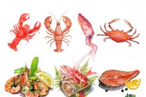 彩绘手绘海鲜食物免抠