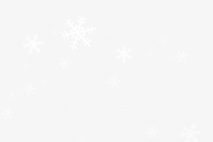 冬季飘雪雪花