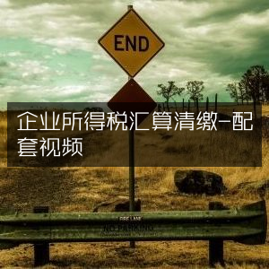 企业所得税汇算清缴实操指南，配套视频教程
