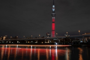 塔 建筑 建筑 城市 夜间 4k壁纸 3840x2160