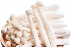 海鲜菇特写高清PNG透明图片-动植物植物设计素材免费下载