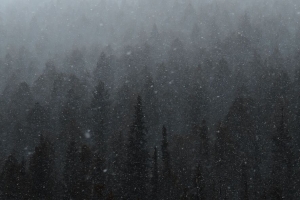 森林 山 雪 降雪 冬季 4k壁纸 3840x2160