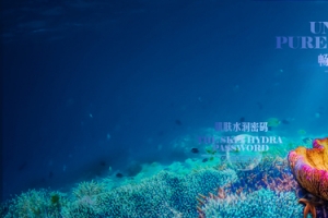 梦幻海底世界背景