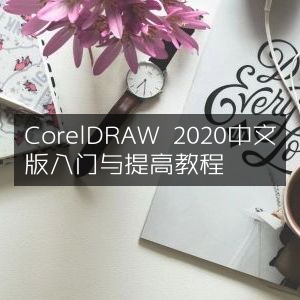 CorelDRAW 2020中文版，从入门到提高实战教程