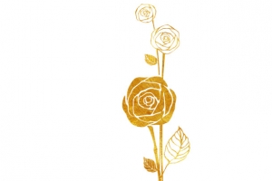 潮流烫金玫瑰花免抠图