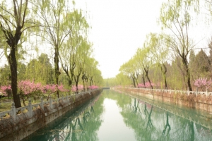 清华大学