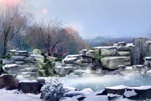 冬天雪景园林风景