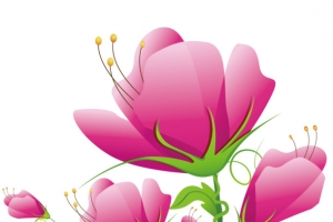 花朵装饰矢量